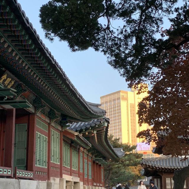 덕수궁 석조전에서 만나는 단풍 