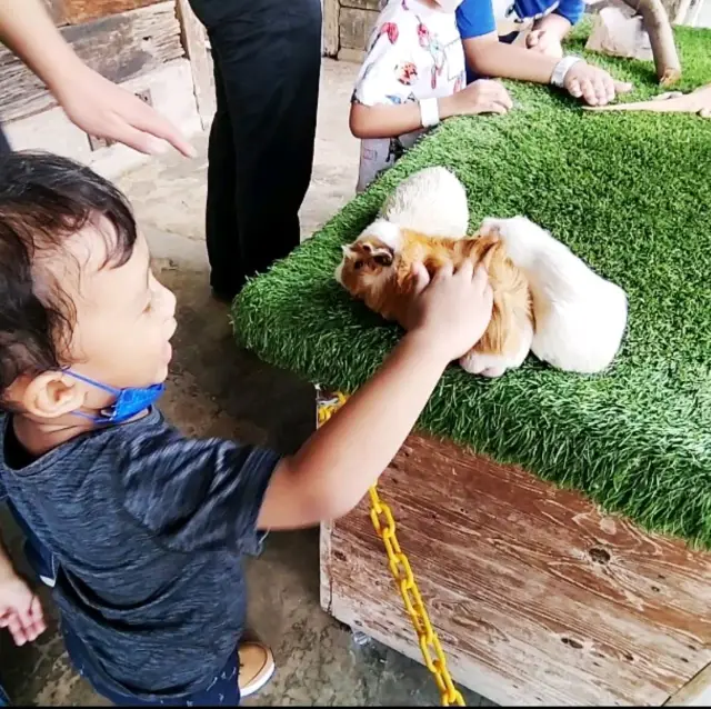 Wonderful place for kids 🤩 Farm in the city