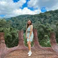 มุมถ่ายรูปมือไม้ยักษ์ แห่งเมือง DALAT 🇻🇳