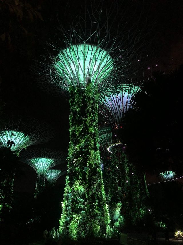 Gardens by the bay @ Night 🌴🇸🇬🎆🌃