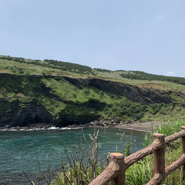 제주도 여행 우도 🌲