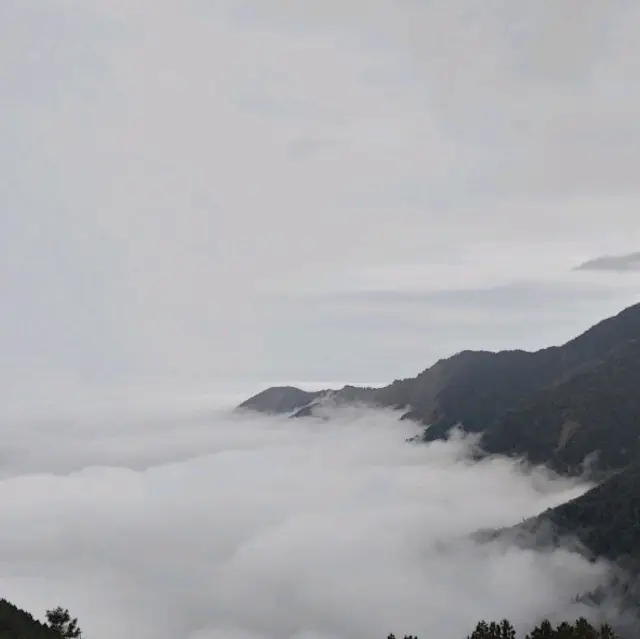 太平山冬季之美