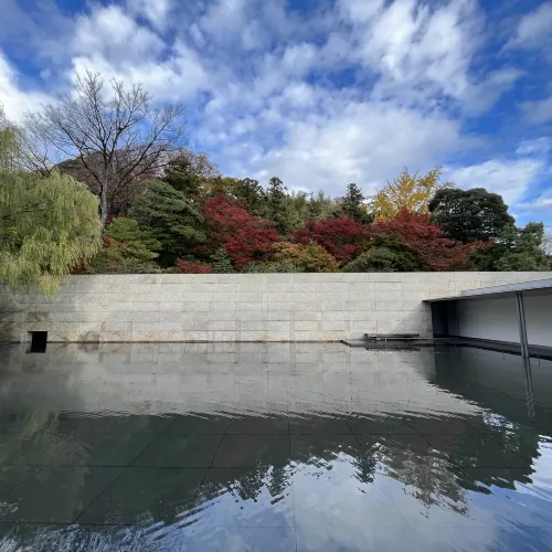 【石川】紅葉と建築美!鈴木大拙館