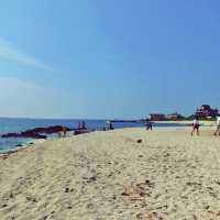 🏖 모래가 아닌 산호로 빛나는 해변, 우도 서빈백사해수욕장