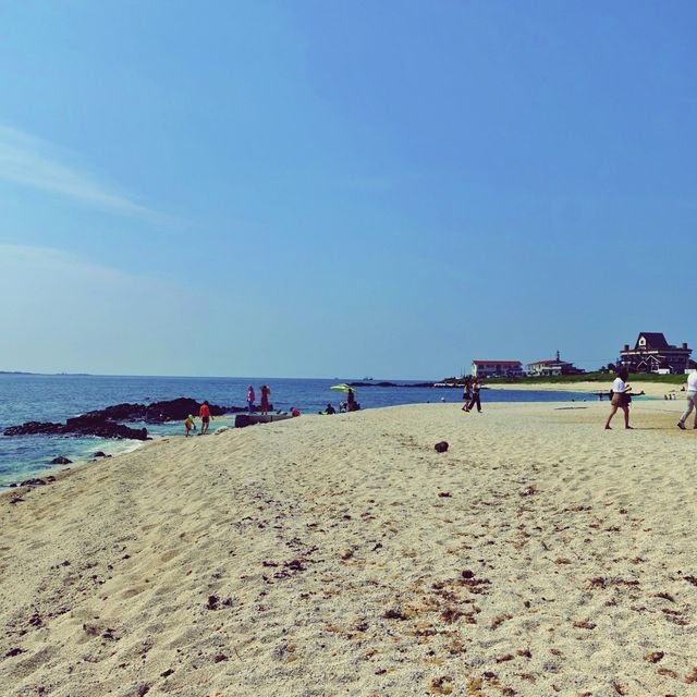 🏖 모래가 아닌 산호로 빛나는 해변, 우도 서빈백사해수욕장