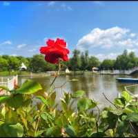 Chongming Manor #1