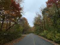 Columbus - Fall Colors 