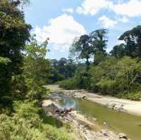 Danum Valley - Borneo, Malaysia