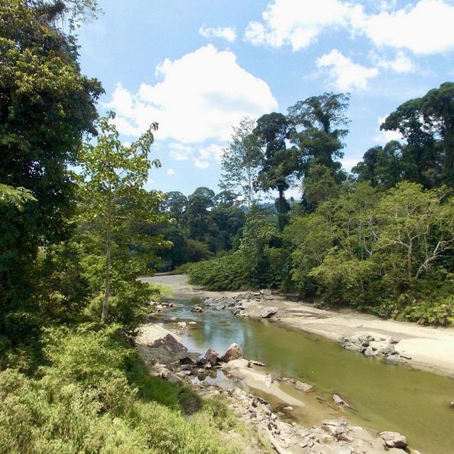 Danum Valley - Borneo, Malaysia