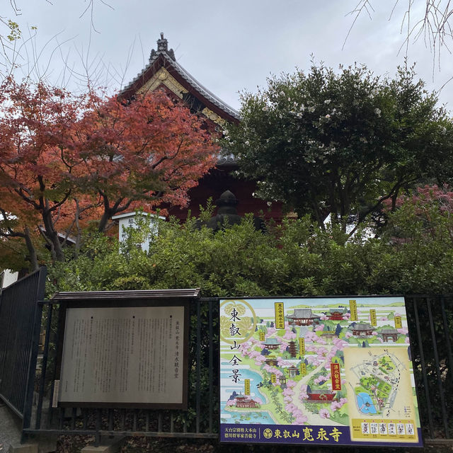 Ueno Park in Japan! 🇯🇵 