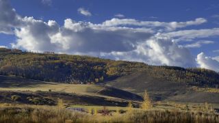 Beautiful fall colors and highland cows