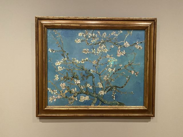 荷蘭🇳🇱必去梵高博物館🎨