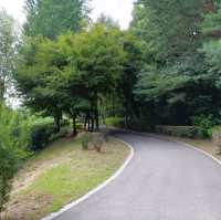 Great Calm Green Space 