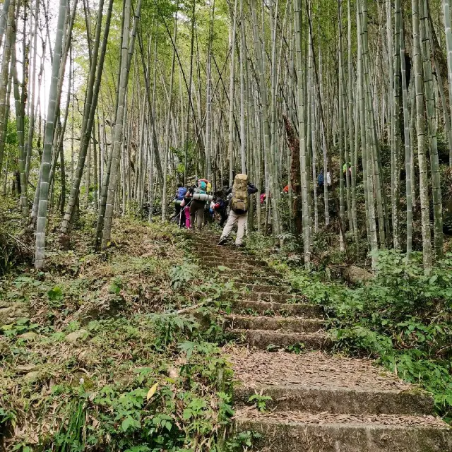 Mount Qiyun(齐云山)|The Gathering of Clouds