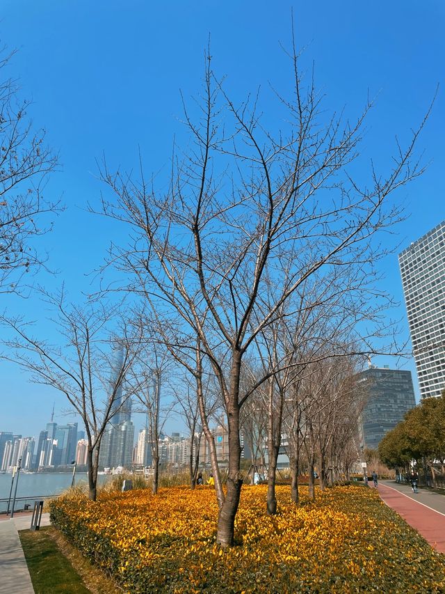 Cycling Down East Bund🌱🍃