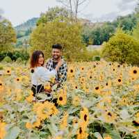 Go for a flower fields couple’s photoshoot 