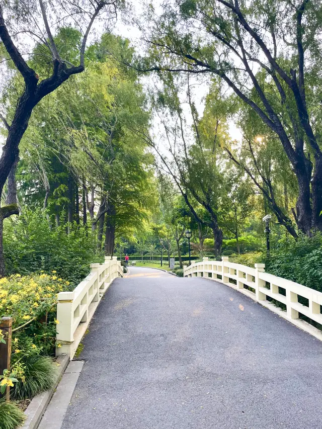 A truly stunning park in Shanghai 