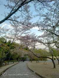 京都嵐山竹林之道