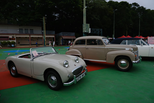 超靚古董車展覽