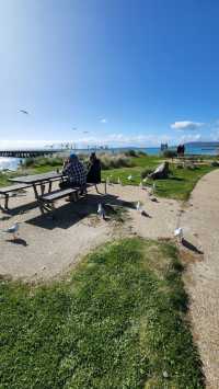 Mornington Peninsula, Melbourne