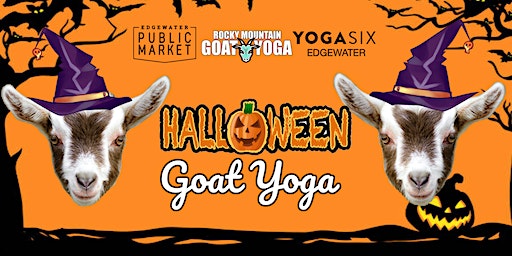 Halloween Goat Yoga - October 21st (YOGA SIX - EDGEWATER) (Edgewater) | YogaSix