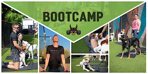 District Dogs BarkFit Boot Camp | District Dogs National Landing