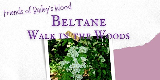 Beltane Walk in the Woods | Bailey's Wood