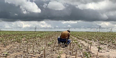 OC Playa Field Day | Floyd County Friends Unity Center