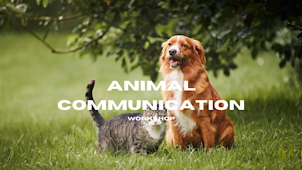 Animal Communication Workshop | 705 Lakefield Road unit h, Westlake Village, CA, USA