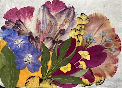 Pressed Flower Art Workshop (full) | 20 Frederick Law Olmsted Way