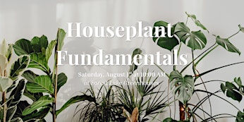 Houseplant Fundamentals | Forest Lake Greenhouses