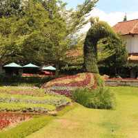 ARCHIPELAGO FLOWER GARDEN, CIANJUR