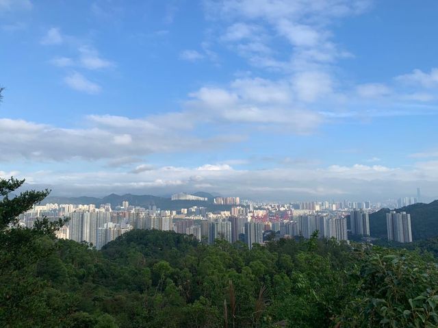 青衣自然徑｜輕鬆行