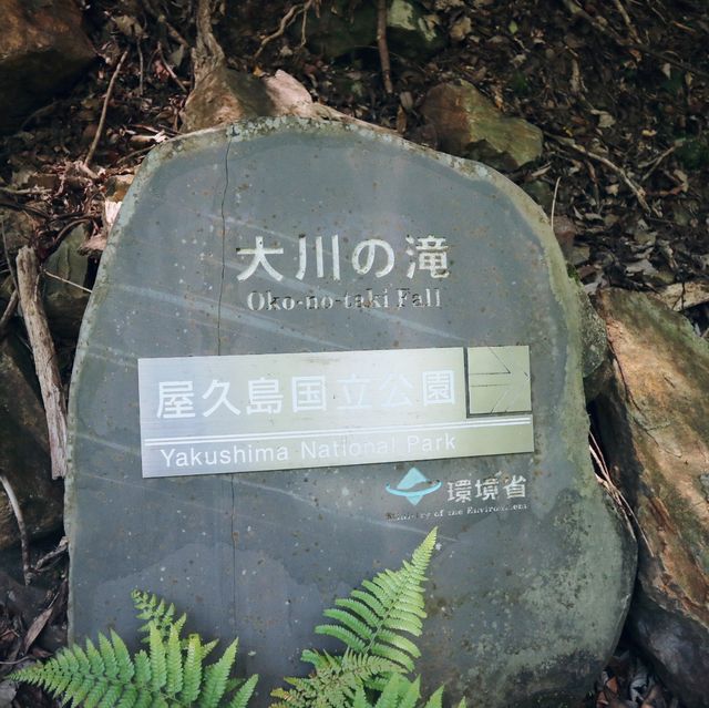 屋久島旅行❗️日本の滝100選