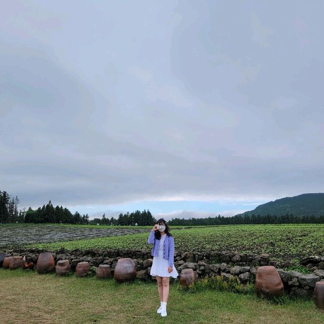 제주의 꽃을 느낄 수 있는 곳, 보롬왓
