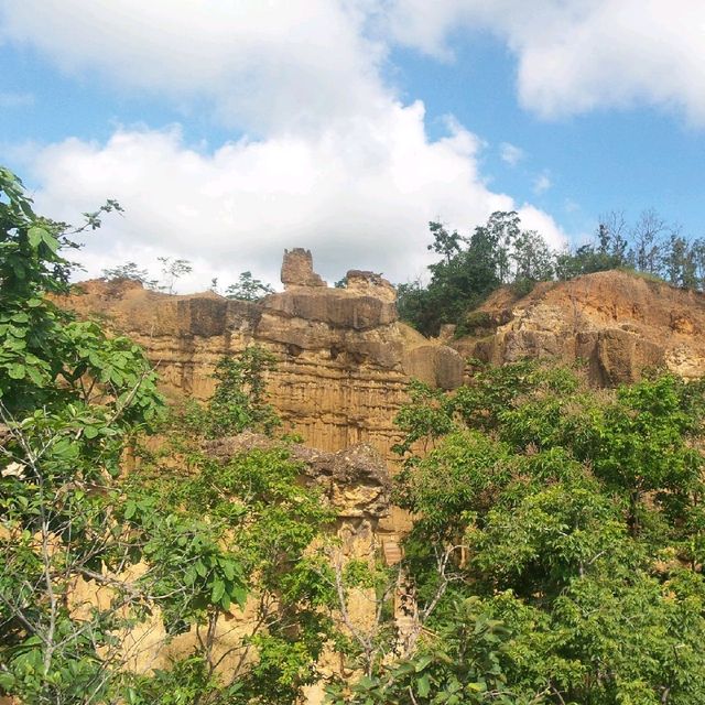 ผาช่อ@อุทยานแห่งชาติแม่วาง