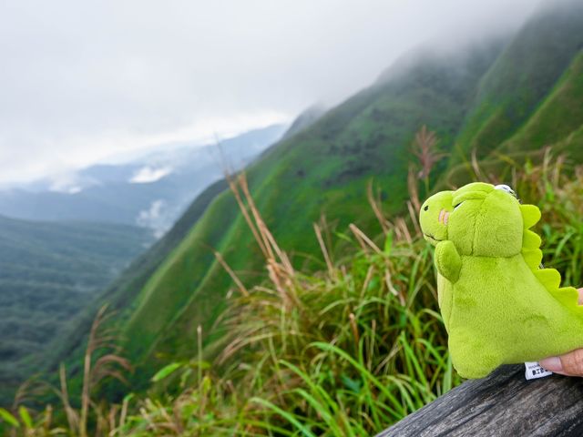 礁溪｜抹茶山 聖母登山步道 朝聖之旅 