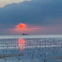 บางปู ธรรมชาติเยียวยาใจฉัน 🕊🕊