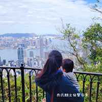 高空看香港