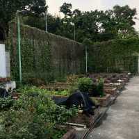 An abandoned secret fortress in HK