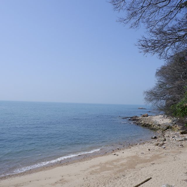 港版貓島之大澳