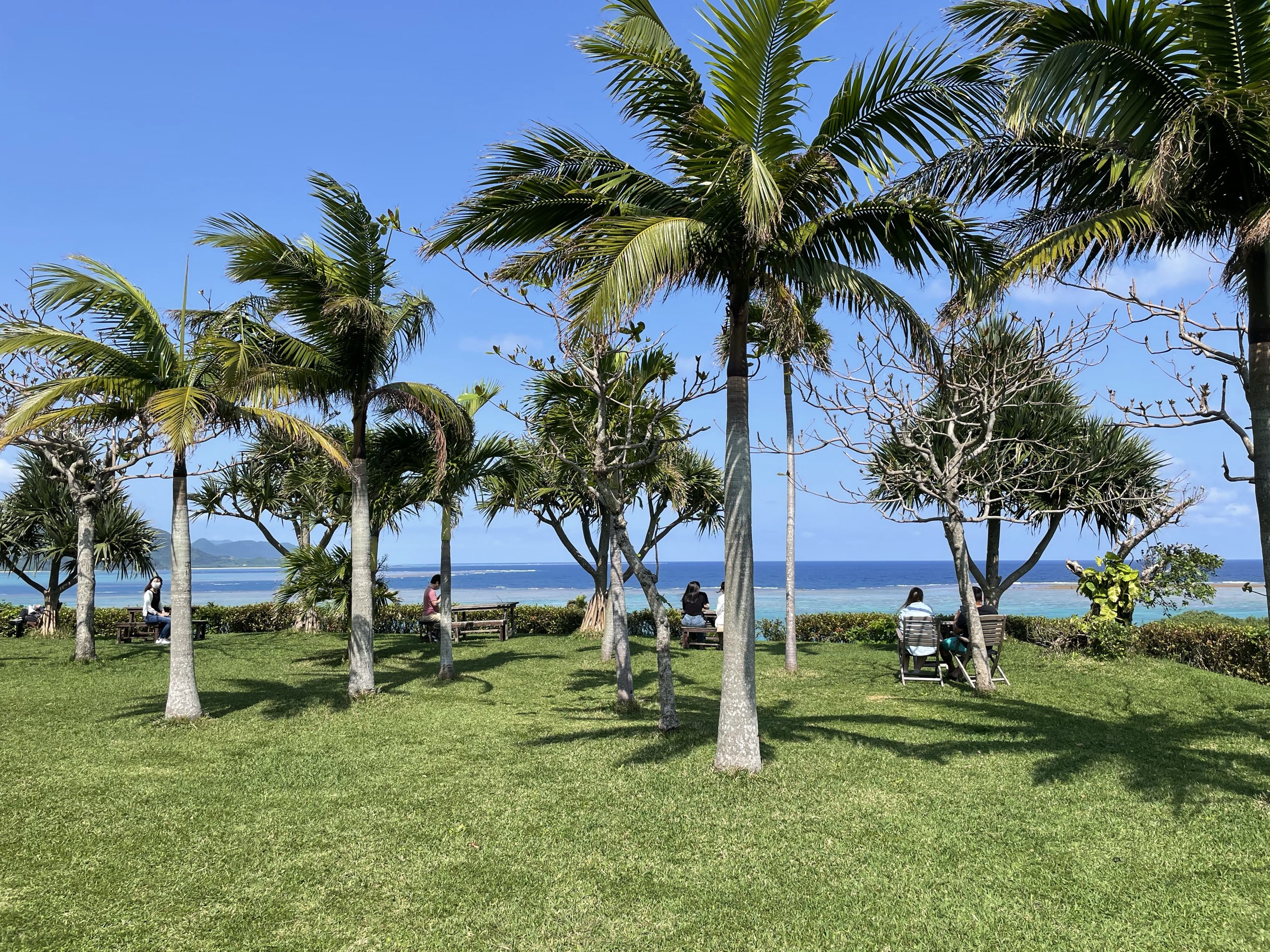 石垣島 まるでハワイ のばれ岬観光農園 Trip Com 石垣市の旅のブログ