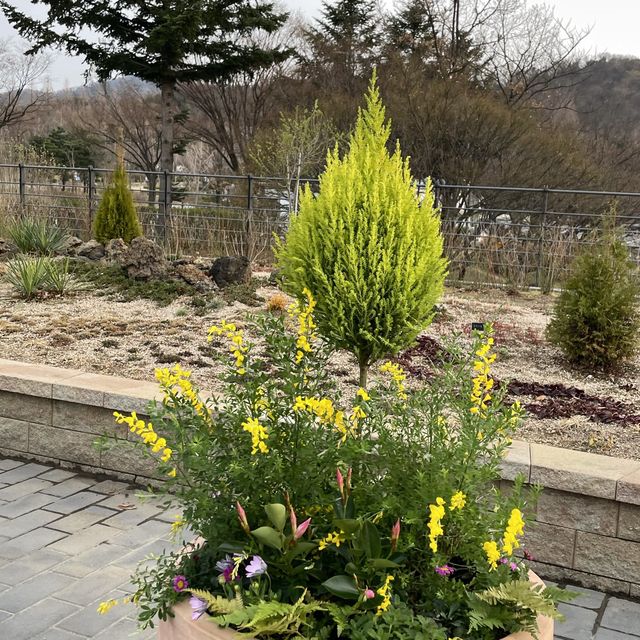 서울대공원에서 본격 꽃구경🌼