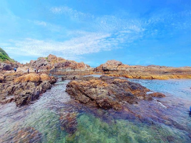港版加勒比🏝️