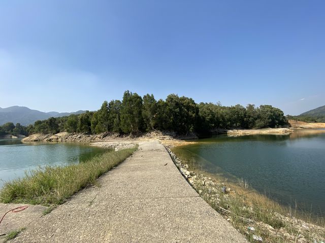 帶你近距離欣賞大欖水塘