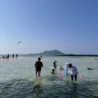 🏖 협재해수욕장이라고? 노노~ 난 금능해수욕장 갈래!