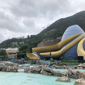 Post-typhoon Birthday Ocean Park Trip 