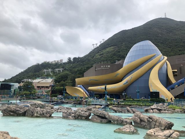Post-typhoon Birthday Ocean Park Trip 