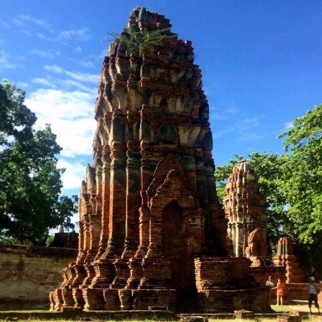 Relive Ayutthaya's Ancient Glory