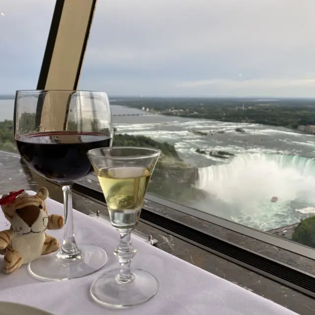 Revolving dinner at Skylon Tower 